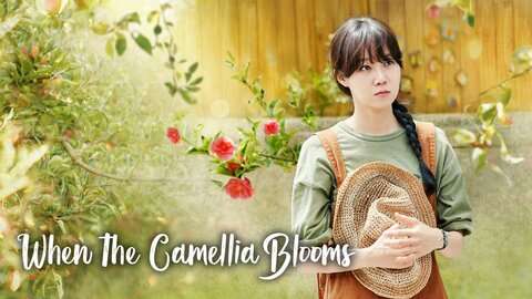 When the Camellia Blooms