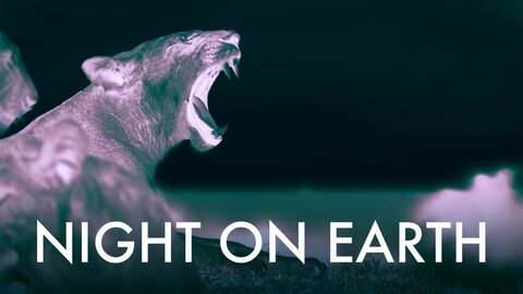 Night on Earth