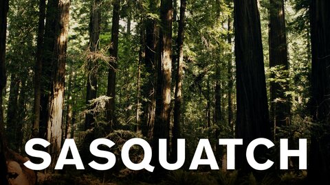Sasquatch