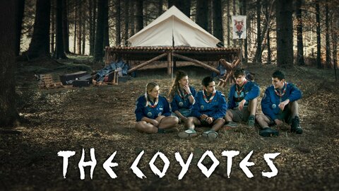 The Coyotes