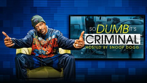 So Dumb It's Criminal