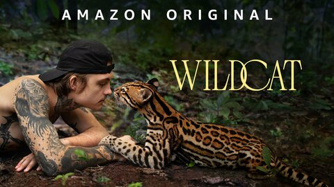 Wildcat