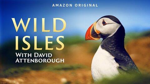 Wild Isles
